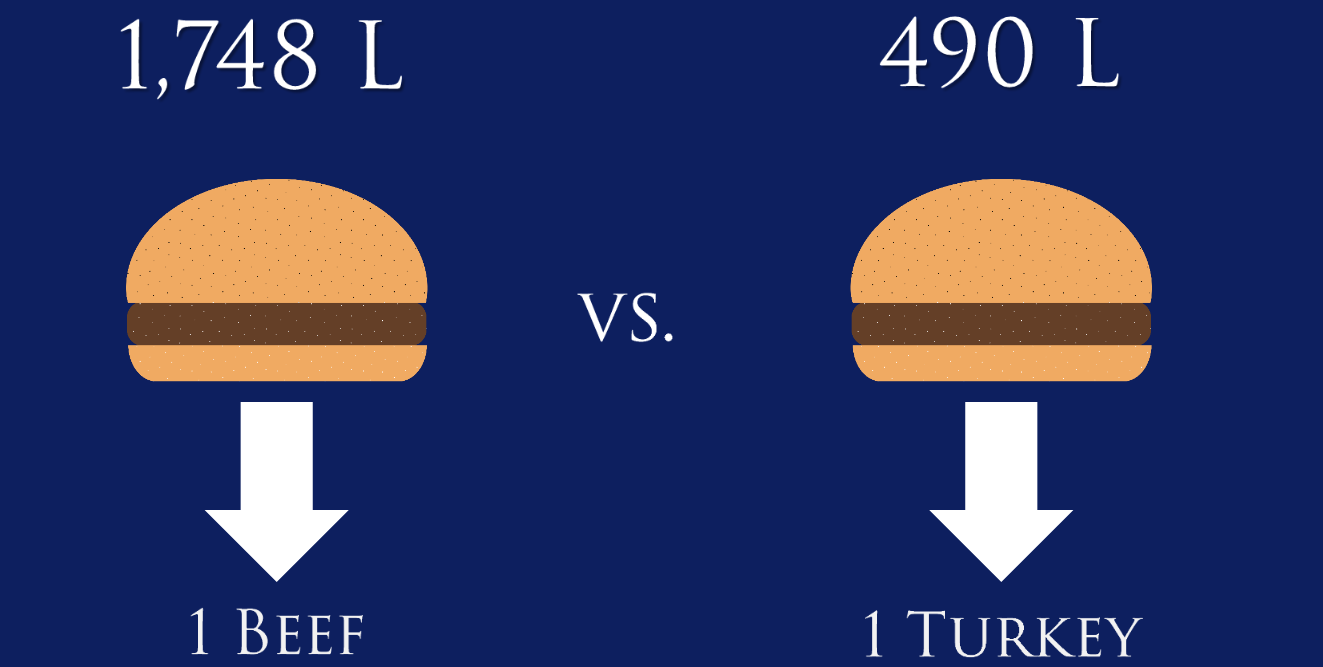 Beef vs. Turkey