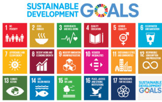 Standards SDGs Certifications…Oh My!