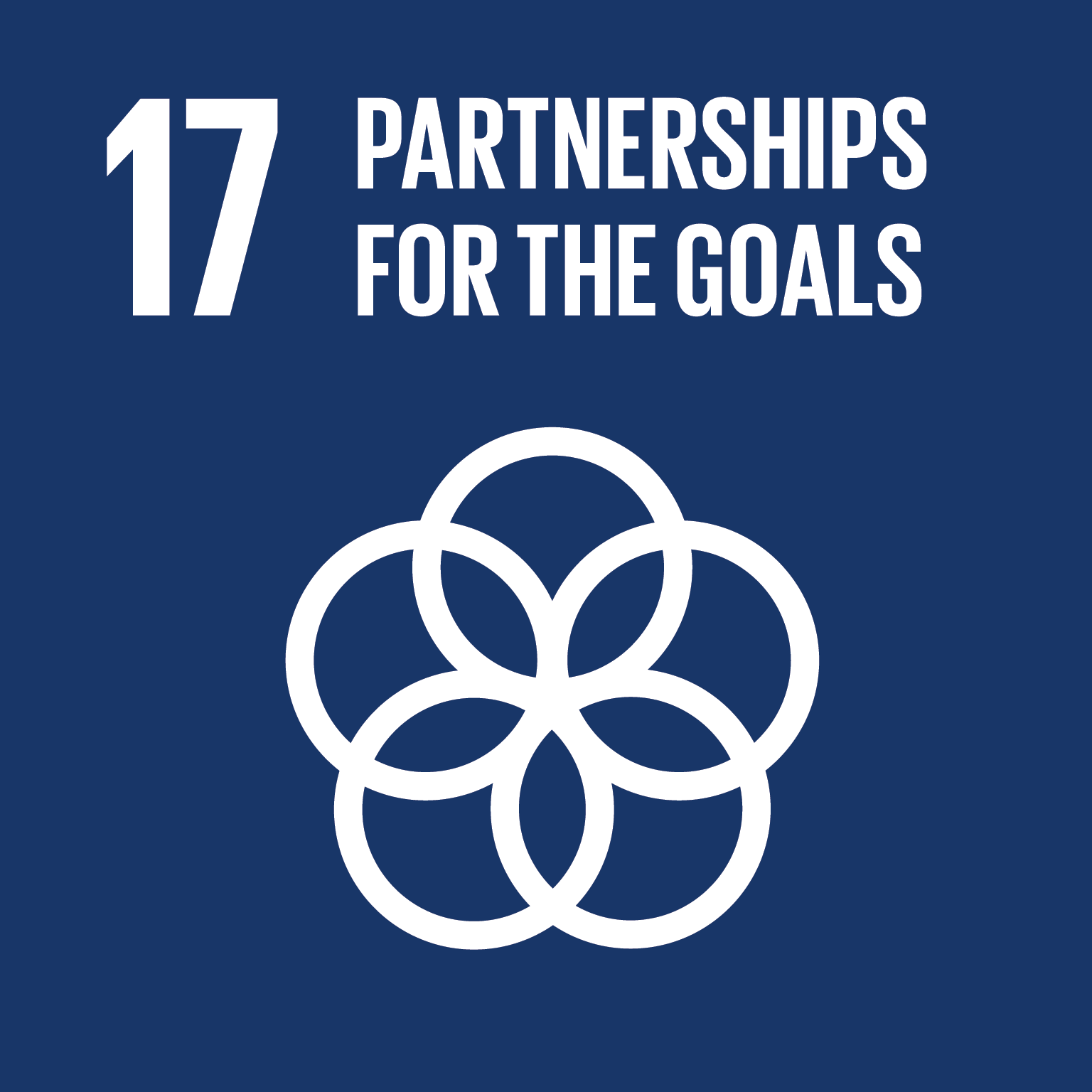 SDG #17 - Partnerships for the Goals