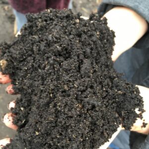 Composted Soil