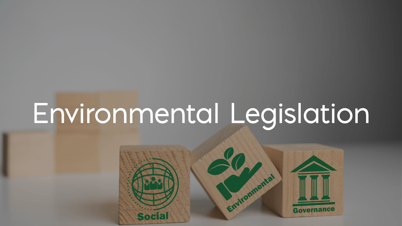 The Role that Companies Play in Sustainability - Legislation