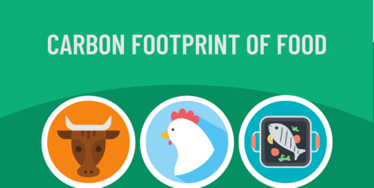 Carbon Footprint of Food Infographic