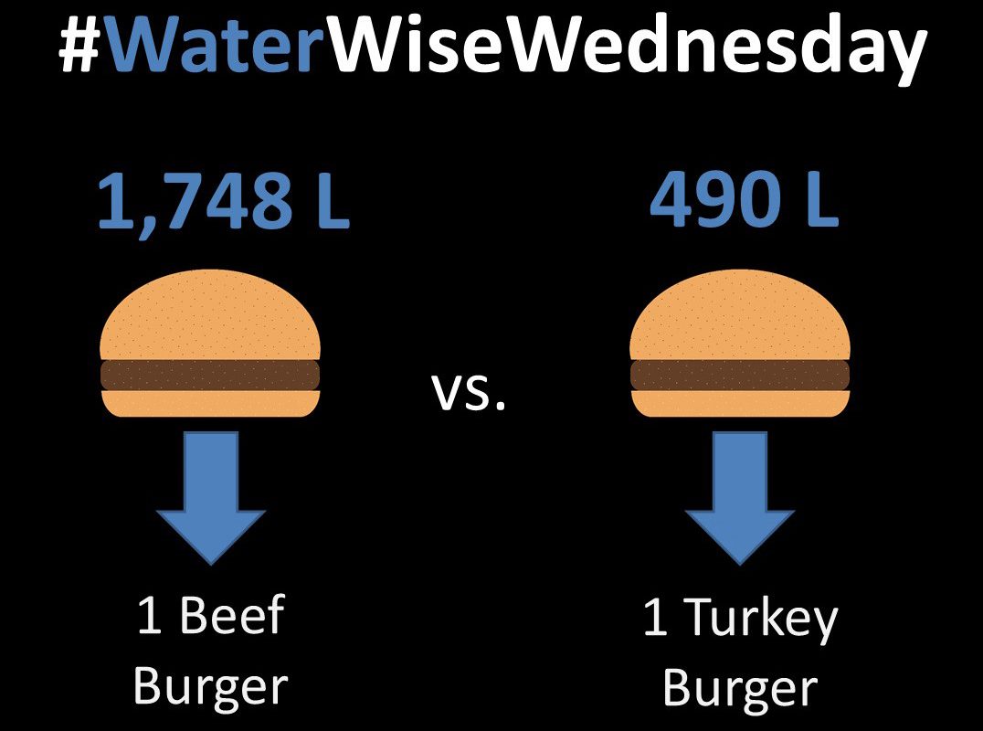 Water Wise Wednesday
