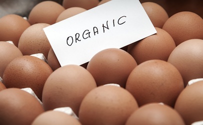 Organic Eggs