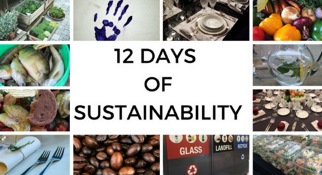 12 days of sustainability