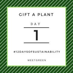 Gift A Plant