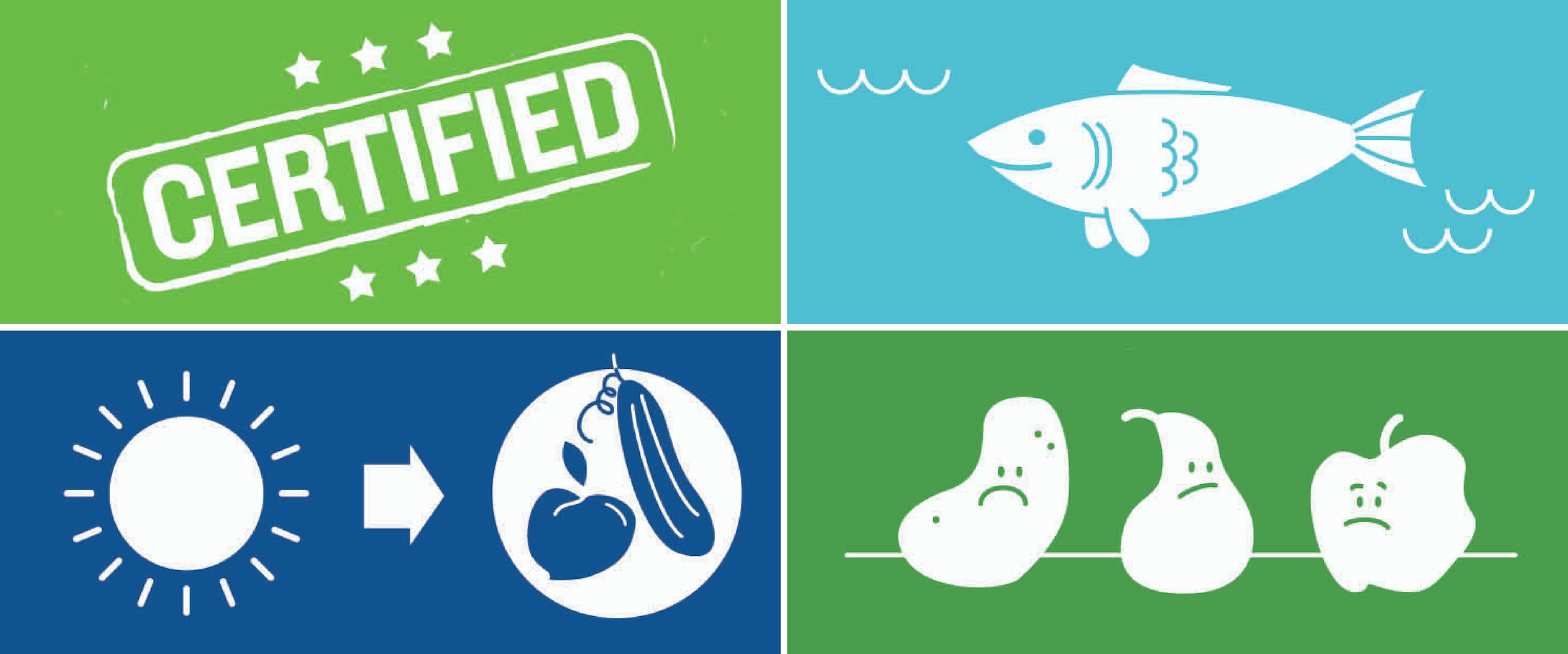 Sustainable Menu Planning Infographic