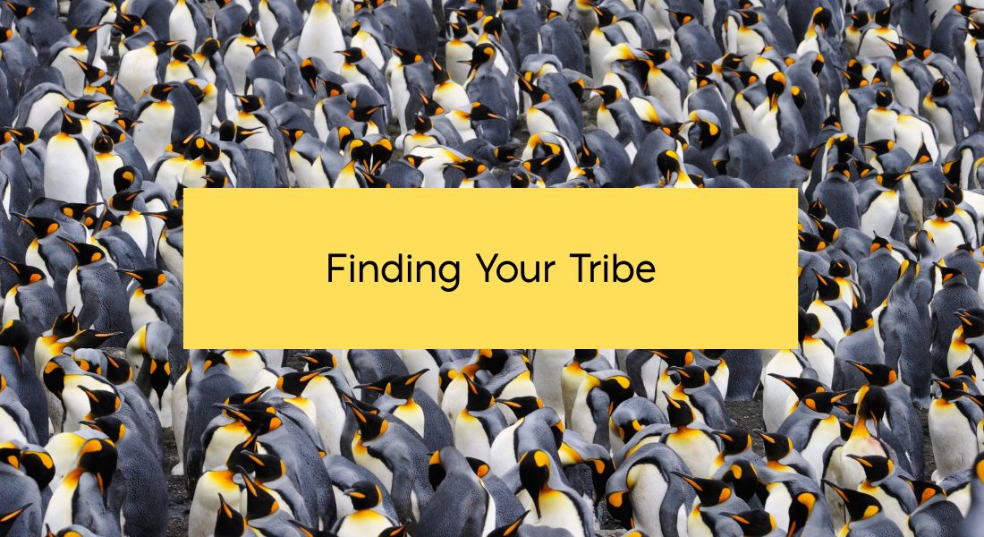 Group of penguins Text: Finding Your Tribe