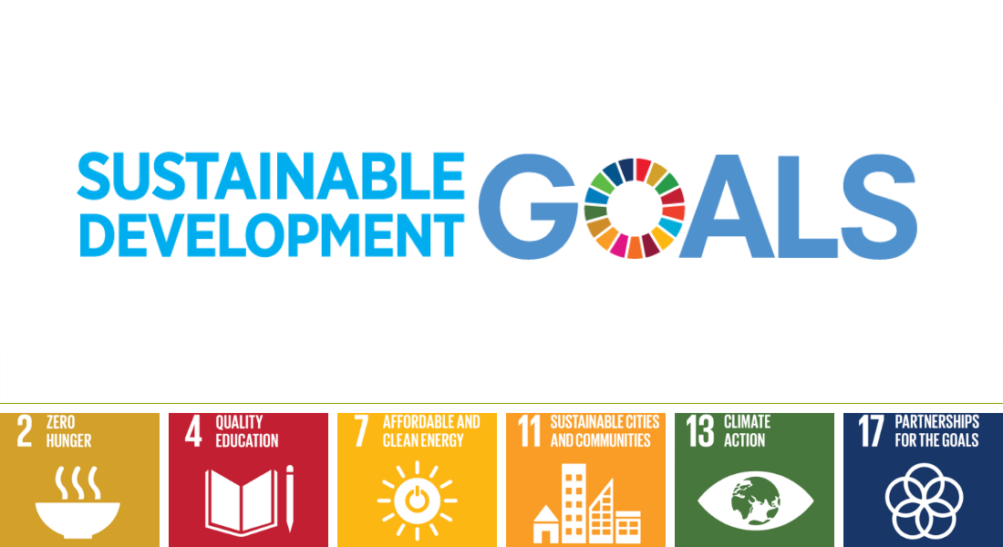 Straight Talk About SDGs