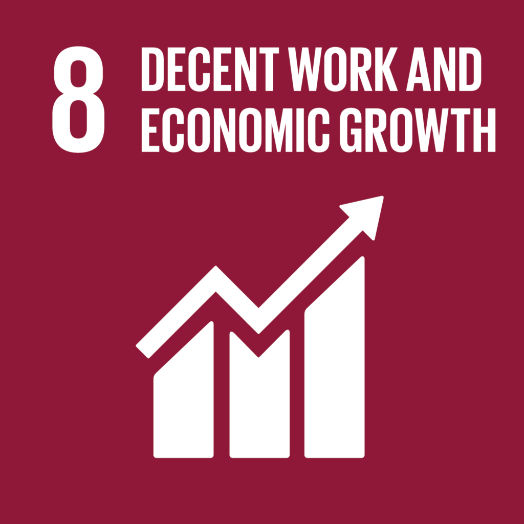 SDG #8 - Decent Work & Economic Growth