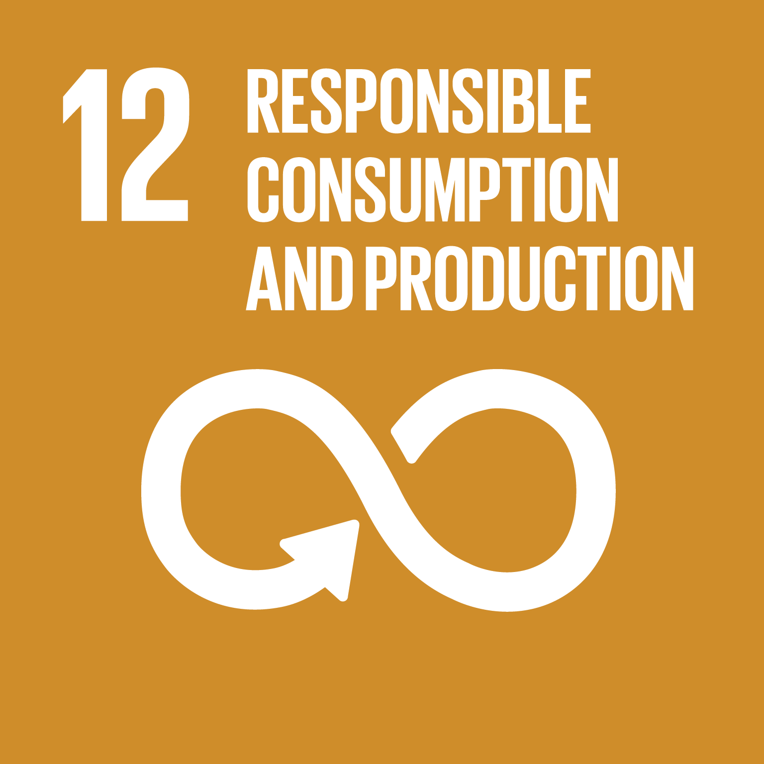 Goal 12 - Responsible Consumption & Production