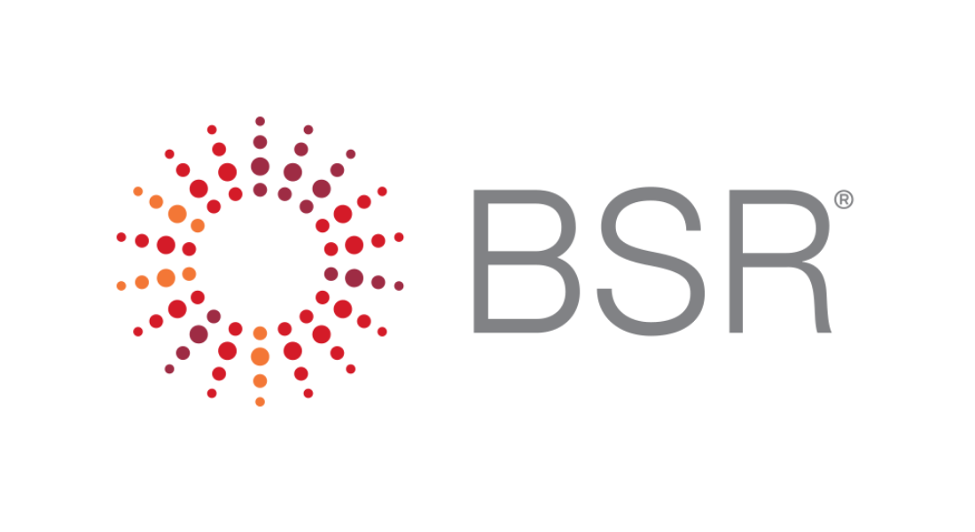 BSR 2019 Case Study