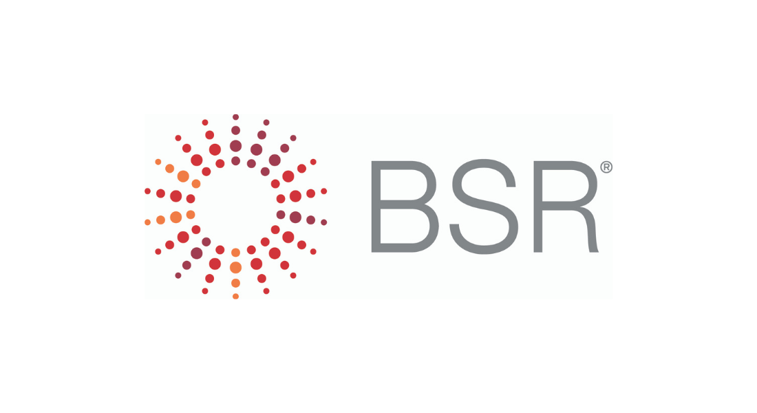 BSR 2020 Infographic