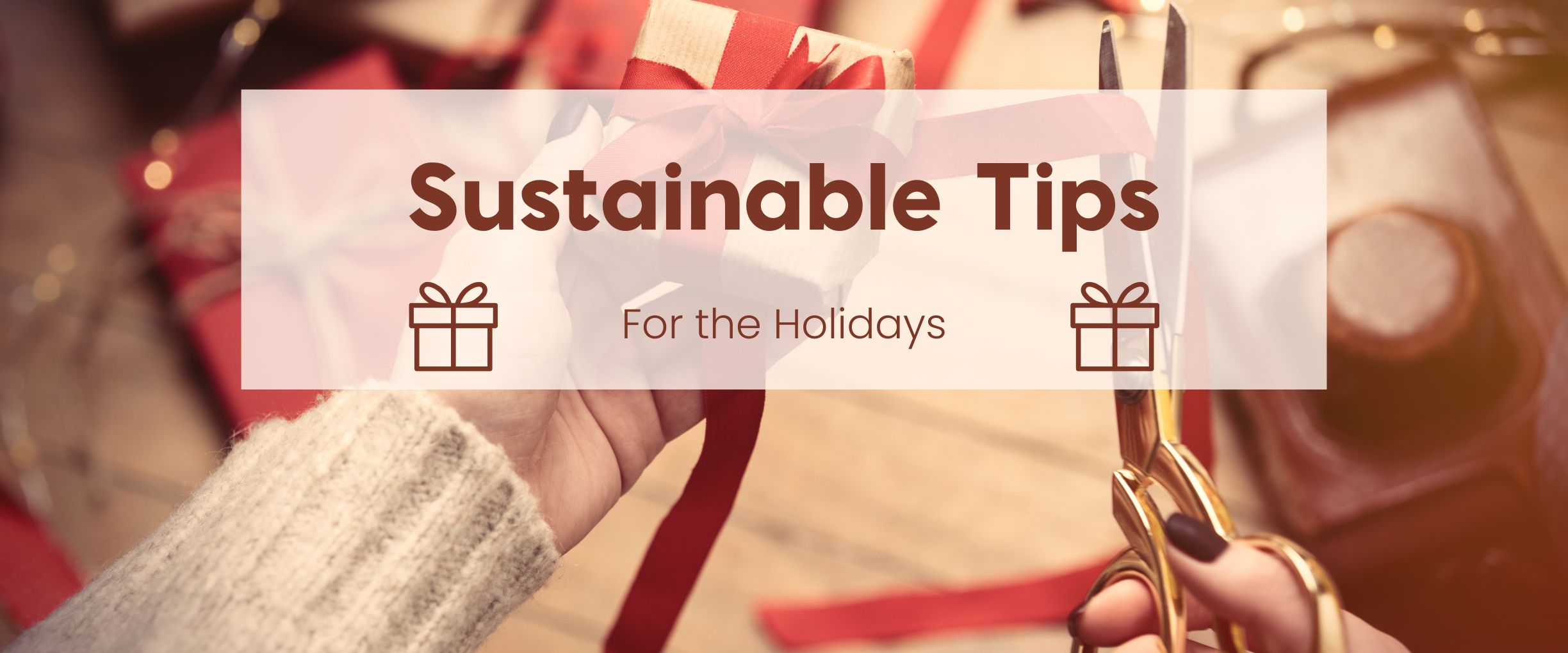 Sustainable Tips for the Holidays and Year Round Banner