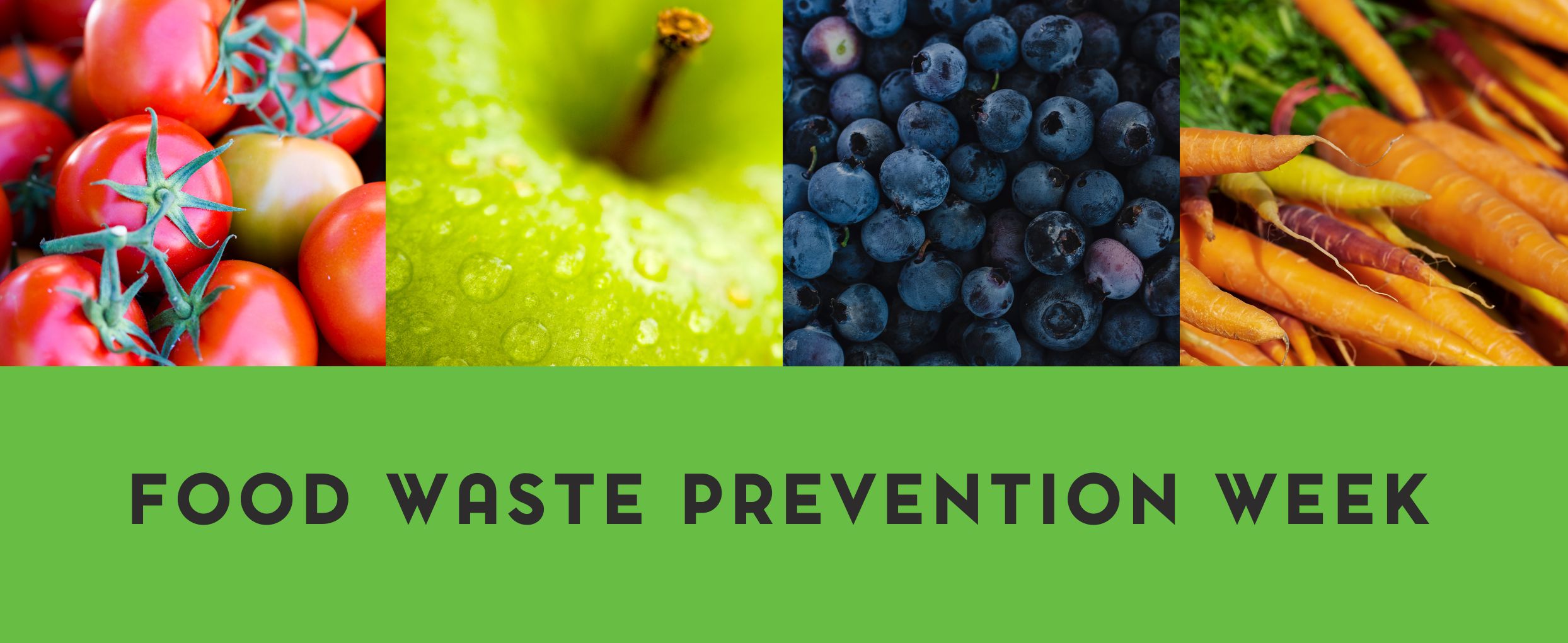 Red tomatoes, Green Apple, Blueberries, and Carrots, Green Banner at the bottom: Food Waste Prevention Week