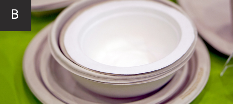 Bio Degradable Plates & Bowls
