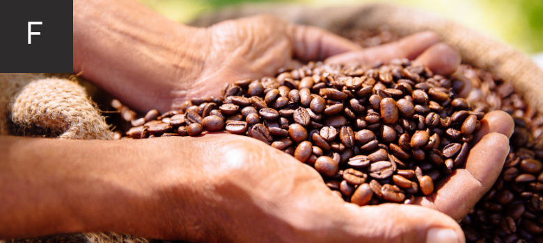 Fair Trade Coffee Beans