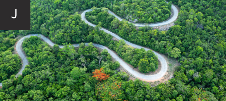Journey - Mountain with green forest and winding path