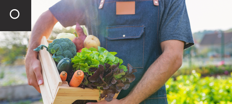 Organic Farming