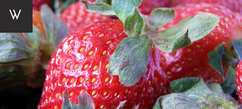 Water wise fruit - strawberries